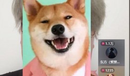 二狗爆料王小贱视频,王小贱视频背后的惊人真相